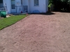 sod going in